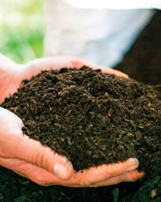 Sustrato para plantas