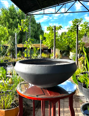 Maceta cilíndrica gris · Mini estanque (M)