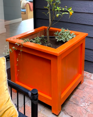 Maceta de madera · Lucrecia