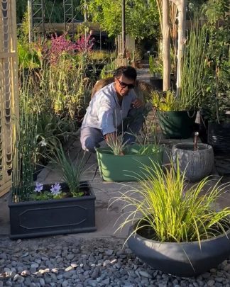 Asesoría Diseño y Paisajismo (60 minutos presenciales)