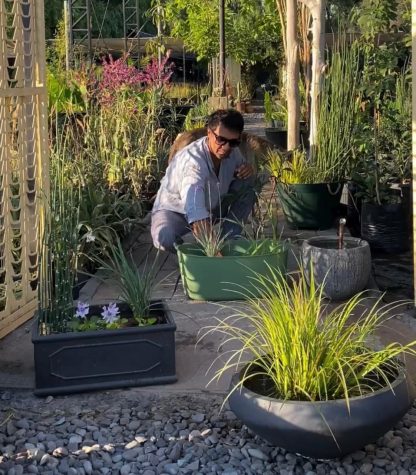 Asesoría Diseño y Paisajismo (60 minutos presenciales)