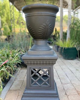 Maceta Copa · Alfonsina